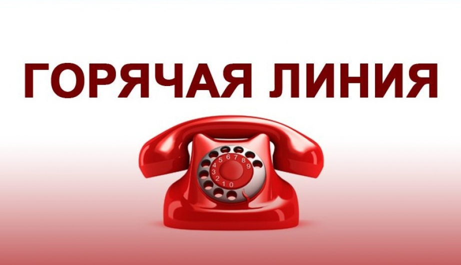 о проведении горячей линии