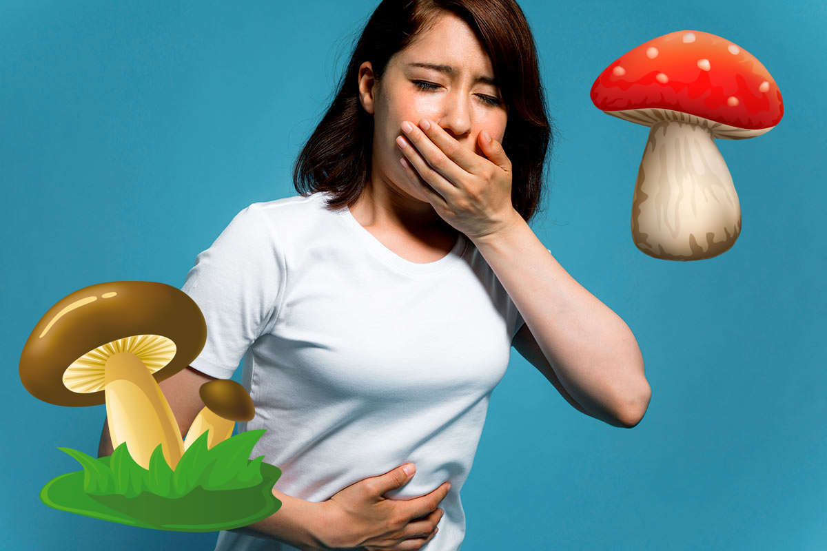 Не каждый гриб в лукошко