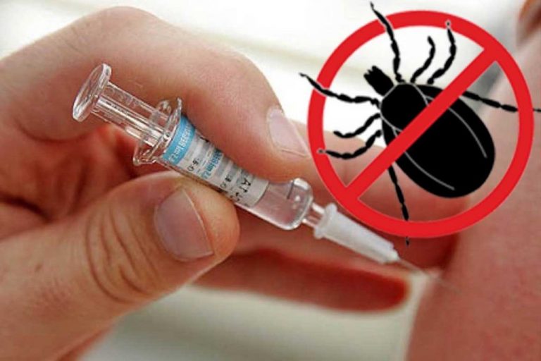 Кому нужна прививка от клещевого энцефалита?