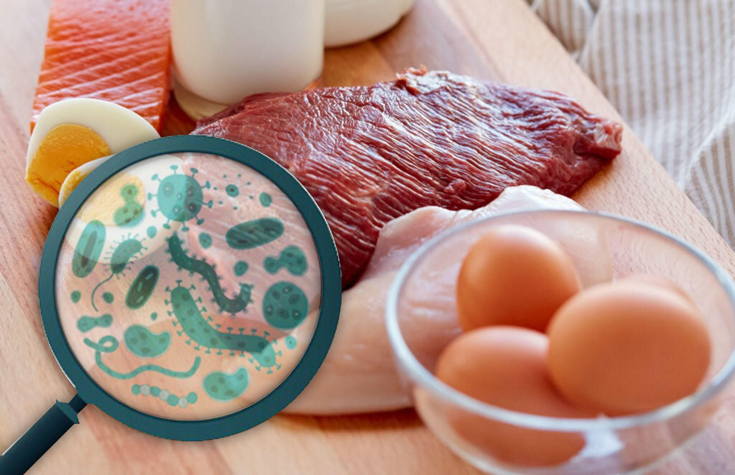 Сальмонеллез – легче предупредить