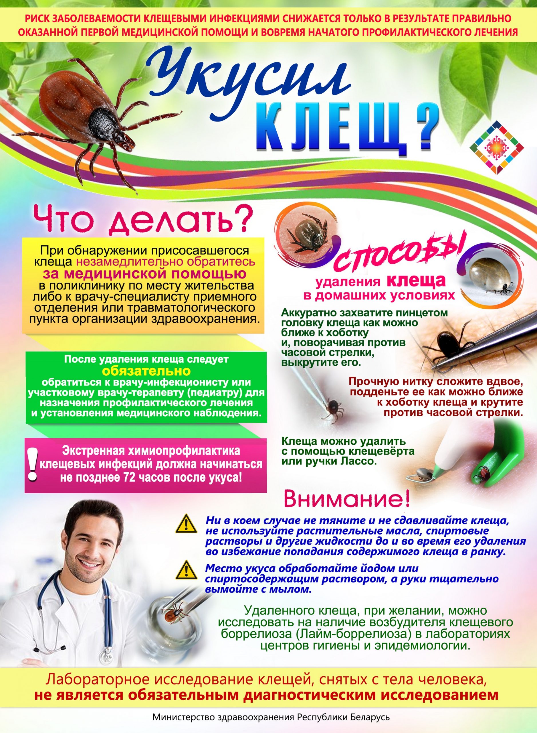 Укусил клещ. Что делать?