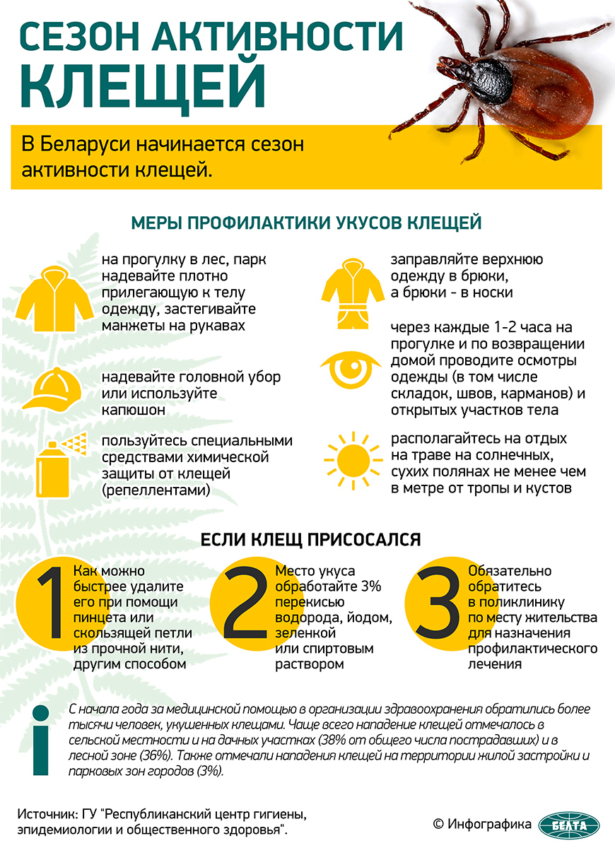 Сезон активности клещей