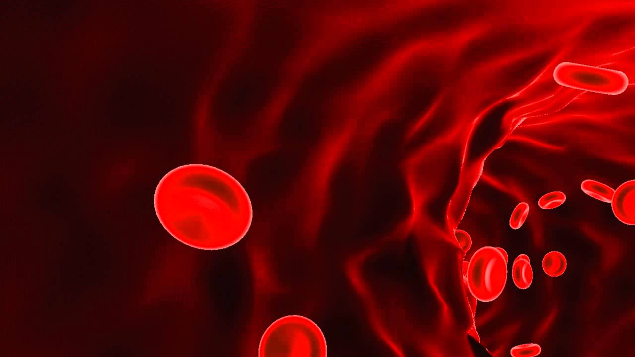 Исследование COVID-19-ассоциированной коагулопатии: что известно и что предстоит узнать?