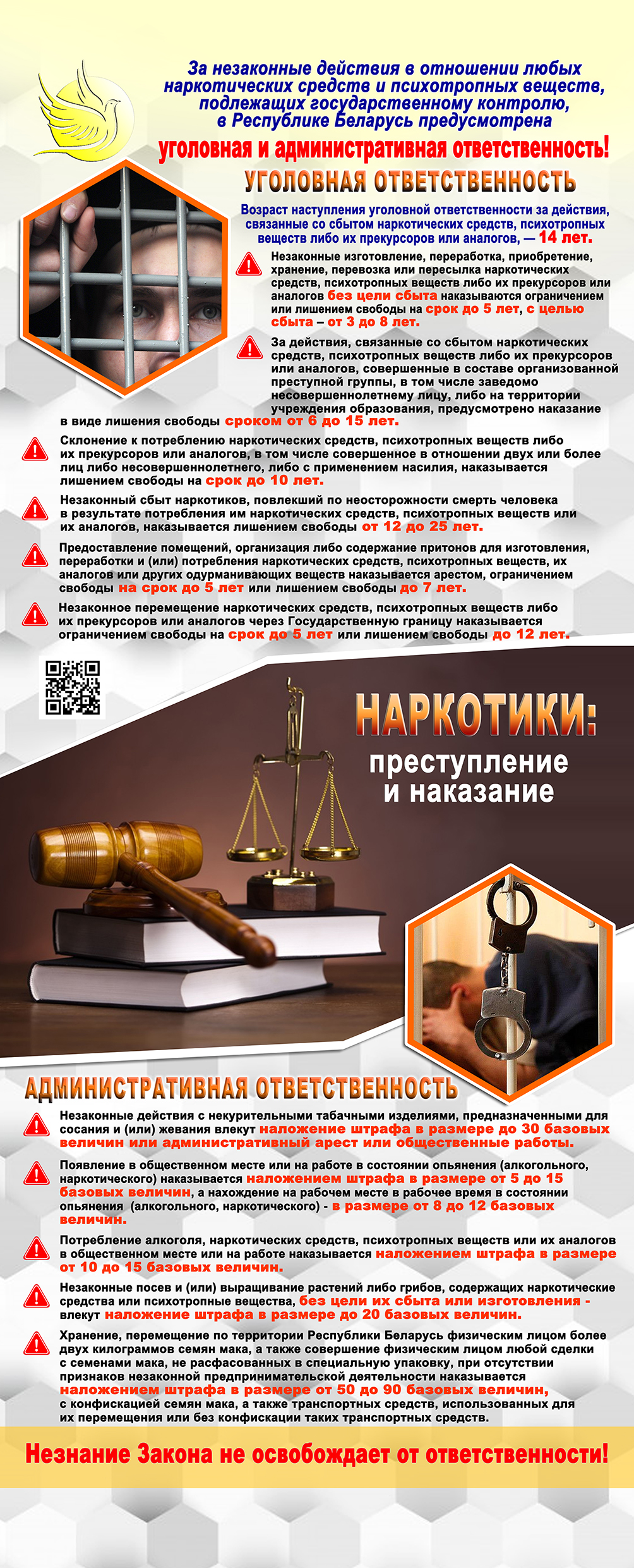 Административная и уголовная ответственность