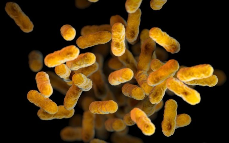 Коклюшная инфекция и ее осложнения