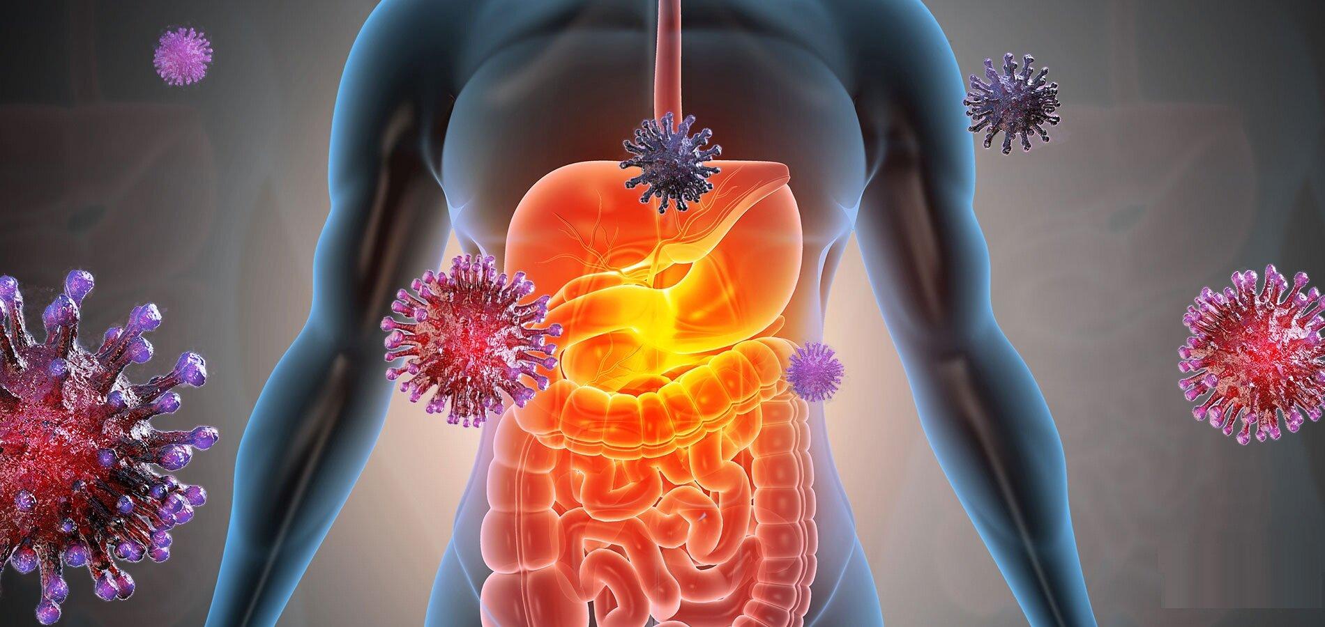 COVID-19-ассоциированные изменения ЖКТ: данные ультразвуковых и морфологических исследований