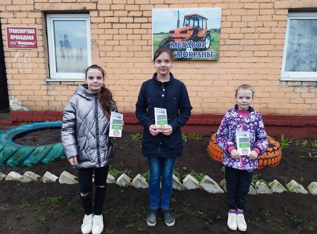 Школа - территория здоровья