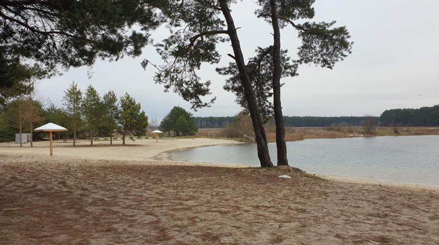 Результаты мониторинга пляжей за прошедшую неделю: купание ограничено в 51 зоне рекреации