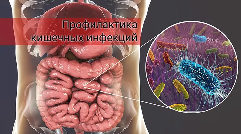 О мерах профилактики острых кишечных инфекций и сальмонеллеза