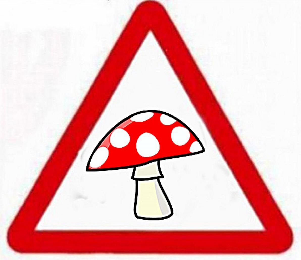 Осторожно ! Продукция, содержащая мухоморы