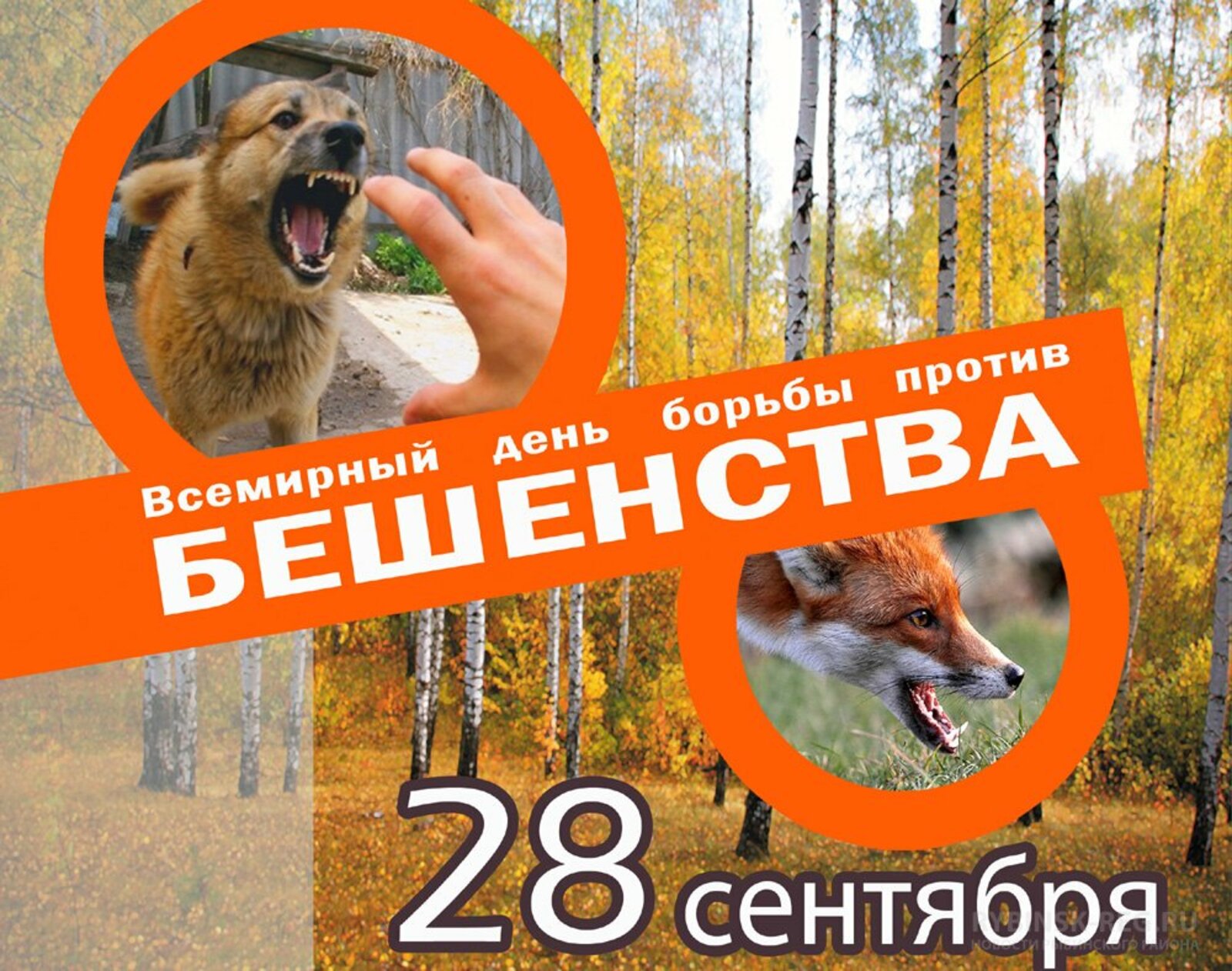 28 сентября – Всемирный день борьбы против бешенства