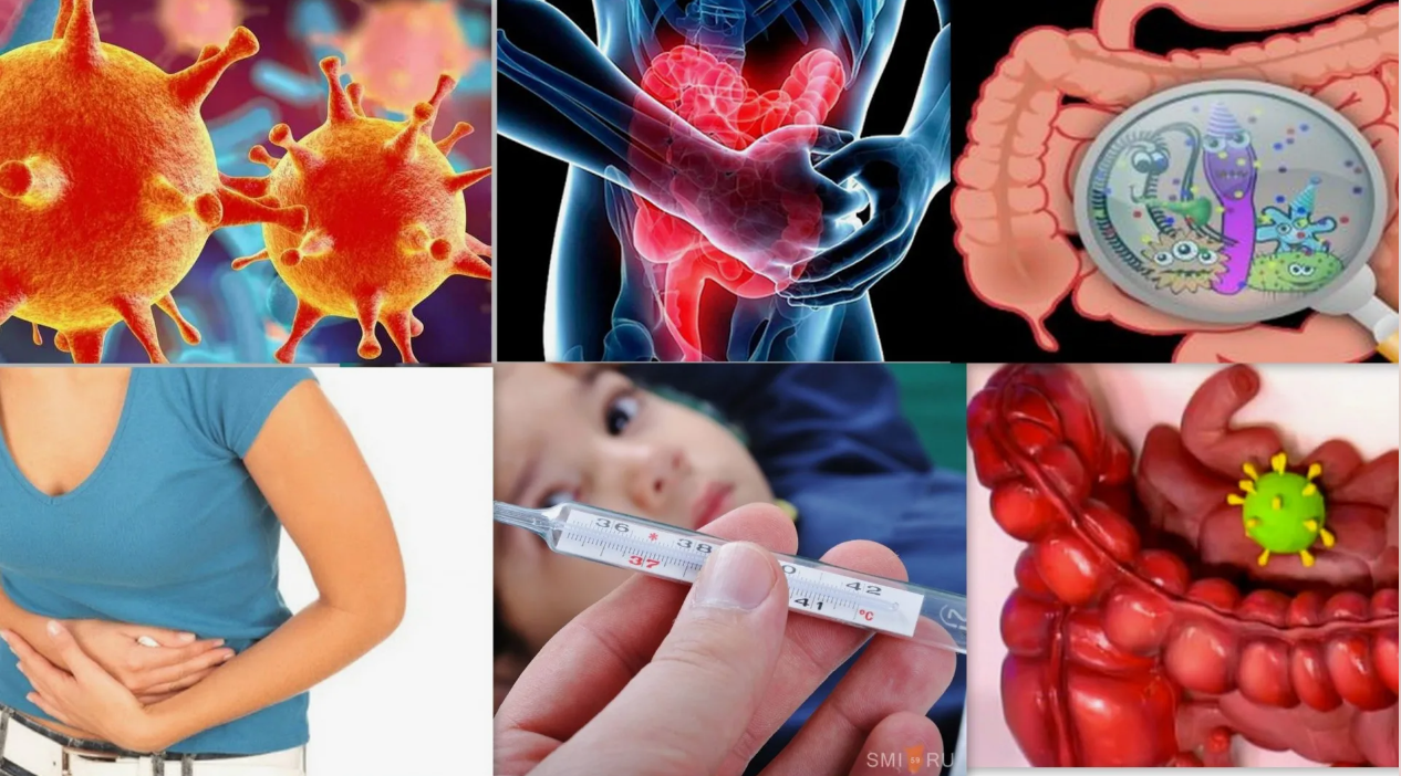 Профилактика ротавирусной инфекции