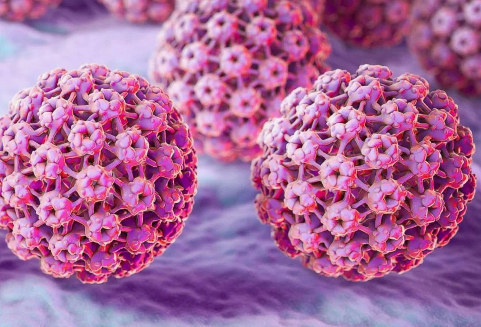 Вирус папилломы человека – как не заболеть и не заразить другого