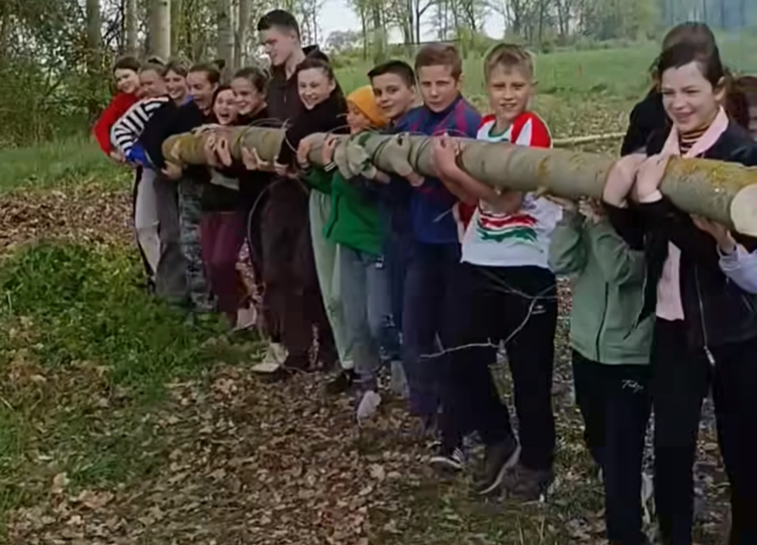 Благоустройство территории