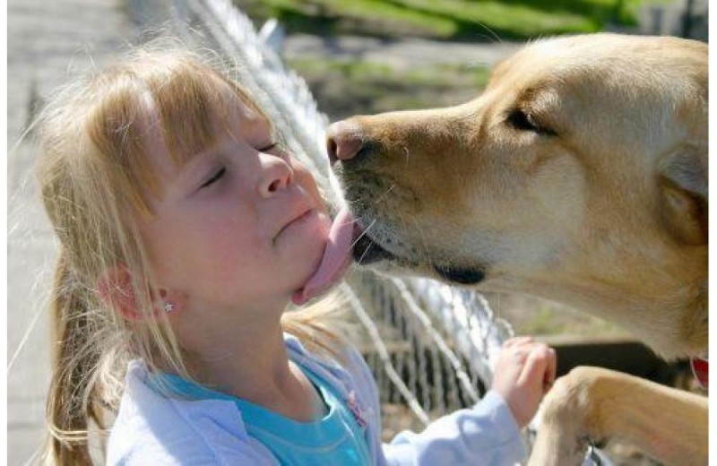 Чем опасны зооантропонозы?