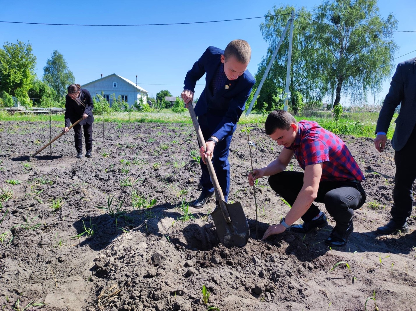 "Вот этот сад посадил наш класс"