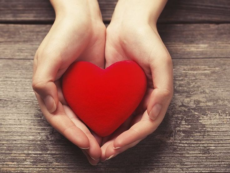 Профилактика заболеваний сердечно-сосудистой системы