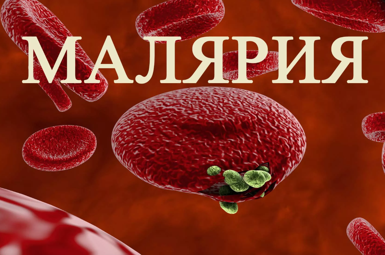 25 марта – всемирный День борьбы с малярией
