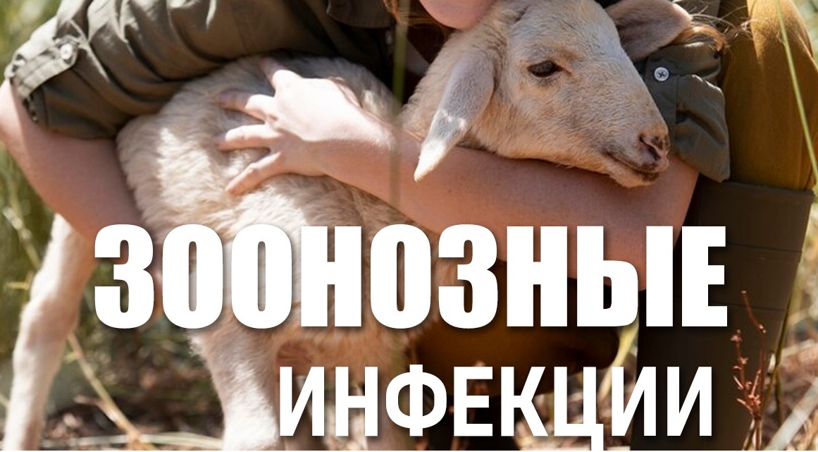 Зоонозные инфекции