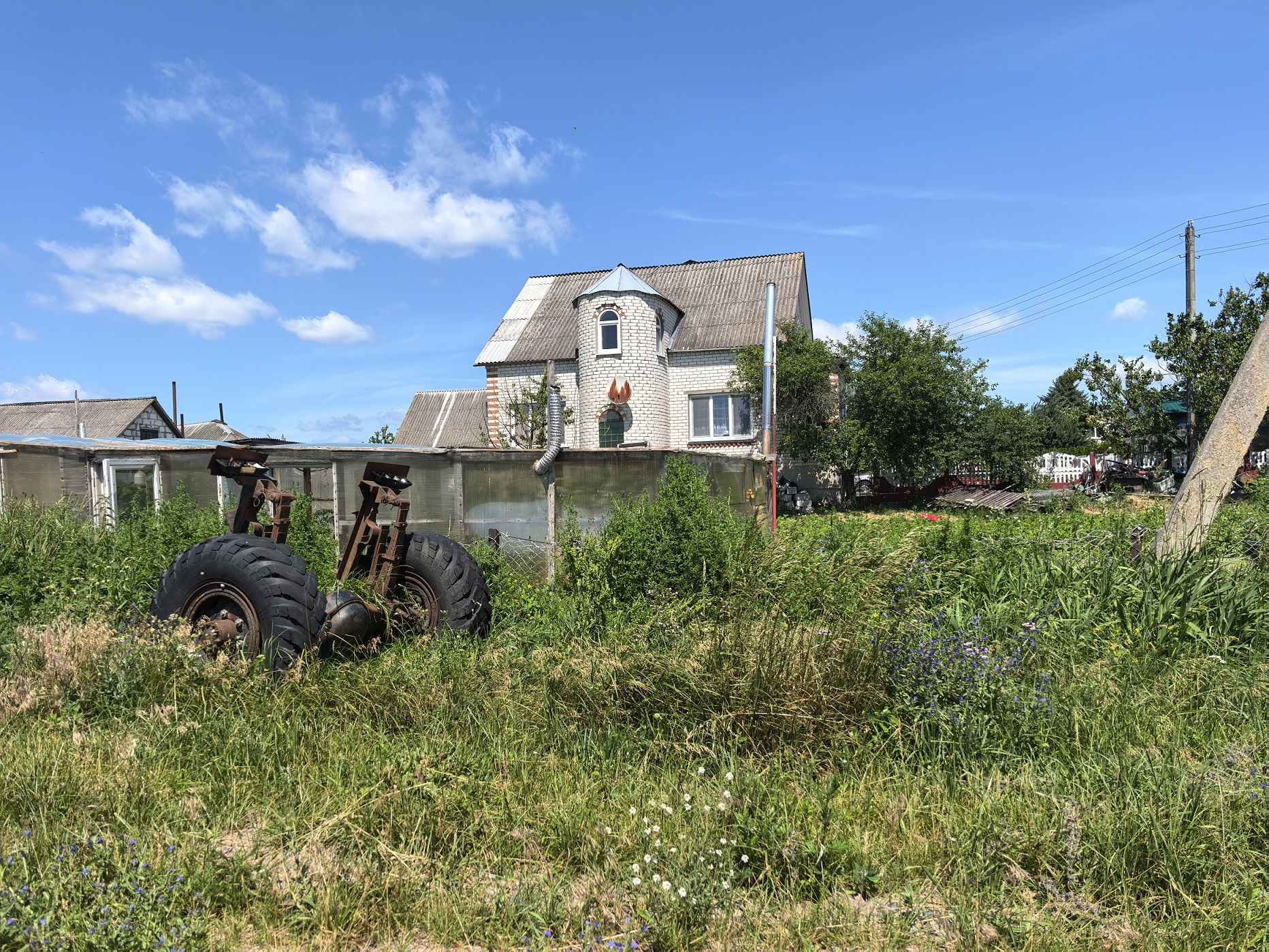 20 см и не выше: что изменилось в правилах покоса травы в 2025 году?