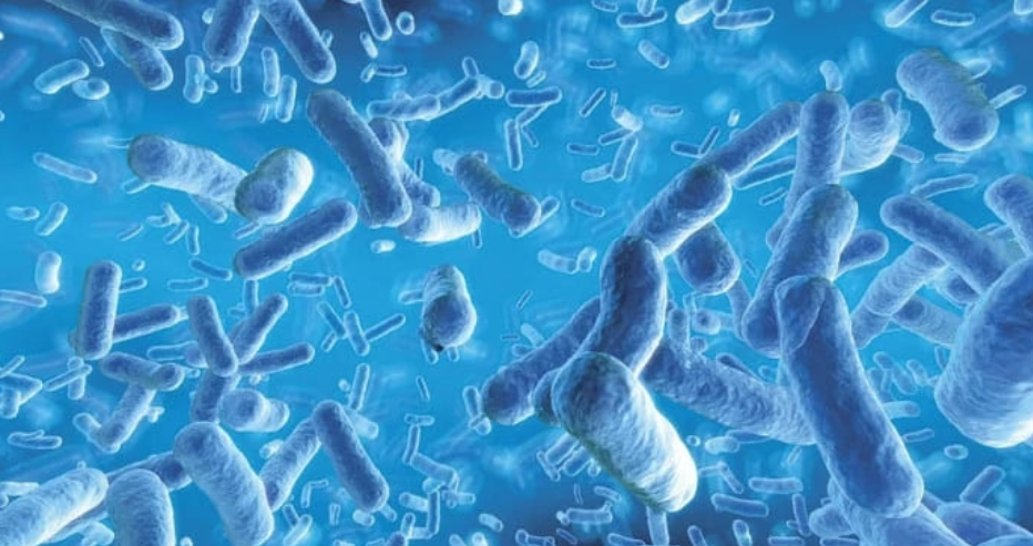 Коклюш. Современные аспекты вакцинопрофилактики