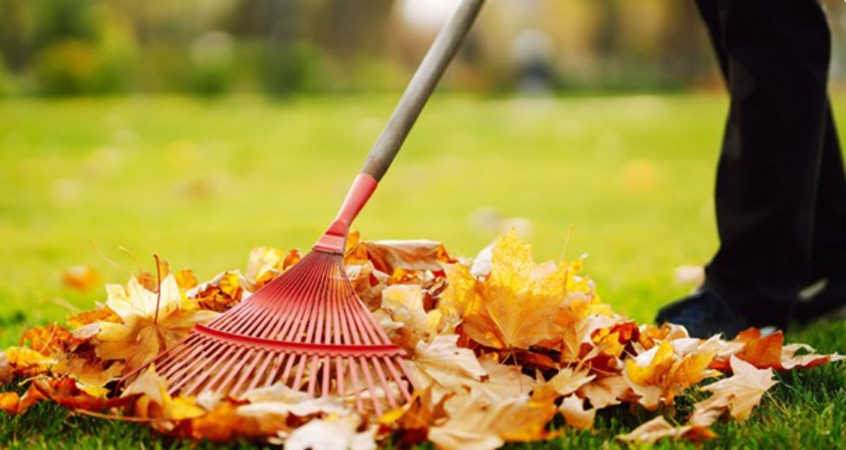 Осень – время навести порядок!