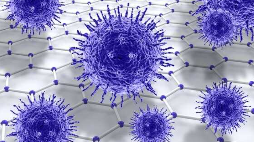 Бифидобактерии в молочных продуктах
