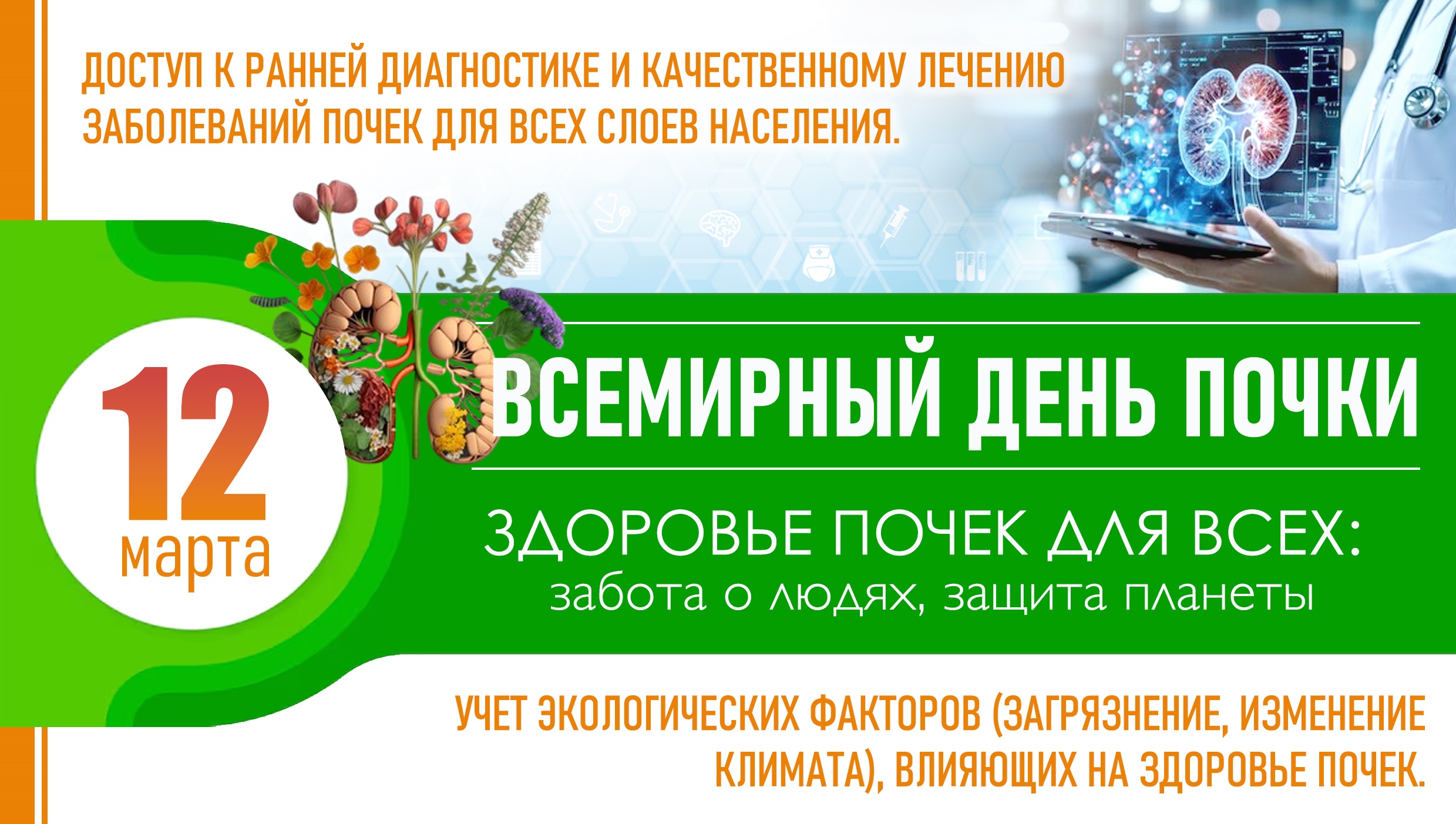 12 марта - Всемирный день почки